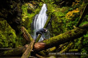 Trestle-Creek-Falls-Row-River-Area-Umpqua-National-Forest-Oregon-11-300x200 Trestle Creek Falls