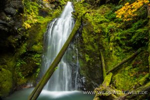 Trestle-Creek-Falls-Row-River-Area-Umpqua-National-Forest-Oregon-12-300x200 Trestle Creek Falls