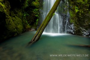 Trestle-Creek-Falls-Row-River-Area-Umpqua-National-Forest-Oregon-13-300x200 Trestle Creek Falls