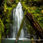 Trestle Creek Falls - Row River Area, Umpqua National Forest, Oregon