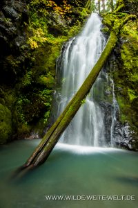Trestle-Creek-Falls-Row-River-Area-Umpqua-National-Forest-Oregon-2-200x300 Trestle Creek Falls