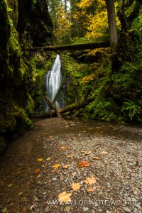 Trestle-Creek-Falls-Row-River-Area-Umpqua-National-Forest-Oregon-3-200x300 Trestle Creek Falls