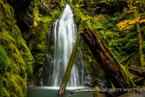 Trestle-Creek-Falls-Row-River-Area-Umpqua-National-Forest-Oregon-300x200 Trestle Creek Falls