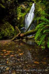 Trestle-Creek-Falls-Row-River-Area-Umpqua-National-Forest-Oregon-6-200x300 Trestle Creek Falls