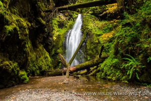Trestle-Creek-Falls-Row-River-Area-Umpqua-National-Forest-Oregon-8-300x200 Trestle Creek Falls