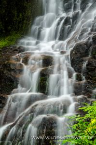 Tributary-Falls-Little-River-Area-Umpqua-National-Forest-Oregon-199x300 Tributary Falls