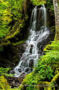 Tributary-Falls-Little-River-Area-Umpqua-National-Forest-Oregon-2-199x300 Tributary Falls