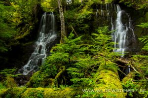 Tributary-Falls-Little-River-Area-Umpqua-National-Forest-Oregon-5-300x199 Tributary Falls