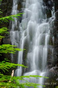 Tributary-Falls-Little-River-Area-Umpqua-National-Forest-Oregon-7-199x300 Tributary Falls