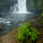 Upper-North-Falls-Silver-Falls-State-Park-Oregon Upper North Falls [Silver Falls State Park]