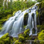 Upper Proxy Falls - Three Sisters Wilderness, Willamette National Forest, Oregon