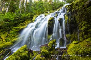 Upper-Proxy-Falls-Three-Sisters-Wilderness-Willamette-National-Forest-Oregon-2-300x200 Upper Proxy Falls