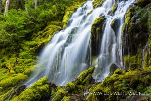 Upper-Proxy-Falls-Three-Sisters-Wilderness-Willamette-National-Forest-Oregon-300x200 Upper Proxy Falls