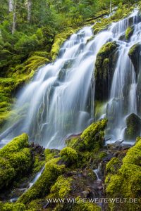 Upper-Proxy-Falls-Three-Sisters-Wilderness-Willamette-National-Forest-Oregon-5-200x300 Upper Proxy Falls