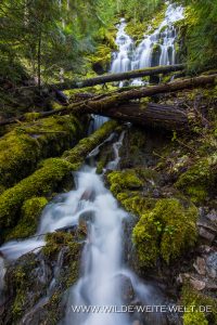 Upper-Proxy-Falls-Three-Sisters-Wilderness-Willamette-National-Forest-Oregon-7-200x300 Upper Proxy Falls