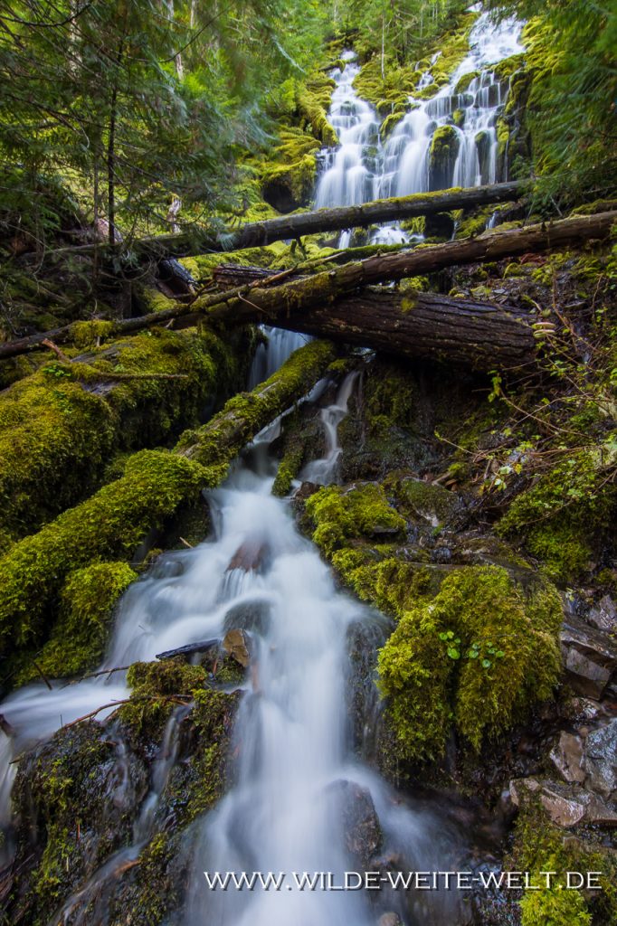 Upper-Proxy-Falls-Three-Sisters-Wilderness-Willamette-National-Forest-Oregon-2 Upper Proxy Falls [McKenzie River]