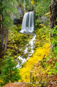 Warm-Springs-Falls-Umpqua-National-Forest-Oregon-2-199x300 Warm Springs Falls