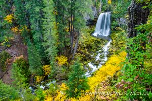 Warm-Springs-Falls-Umpqua-National-Forest-Oregon-3-300x199 Warm Springs Falls