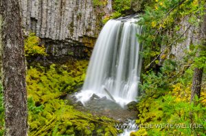 Warm-Springs-Falls-Umpqua-National-Forest-Oregon-4-300x199 Warm Springs Falls