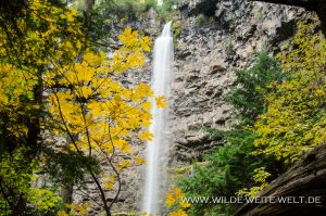 Watson-Falls-Umpqua-National-Forest-Oregon-12-300x199 Watson Falls