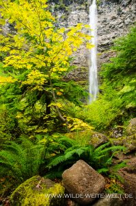 Watson-Falls-Umpqua-National-Forest-Oregon-13-199x300 Watson Falls