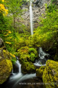Watson-Falls-Umpqua-National-Forest-Oregon-199x300 Watson Falls