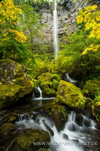 Watson-Falls-Umpqua-National-Forest-Oregon-2-199x300 Watson Falls