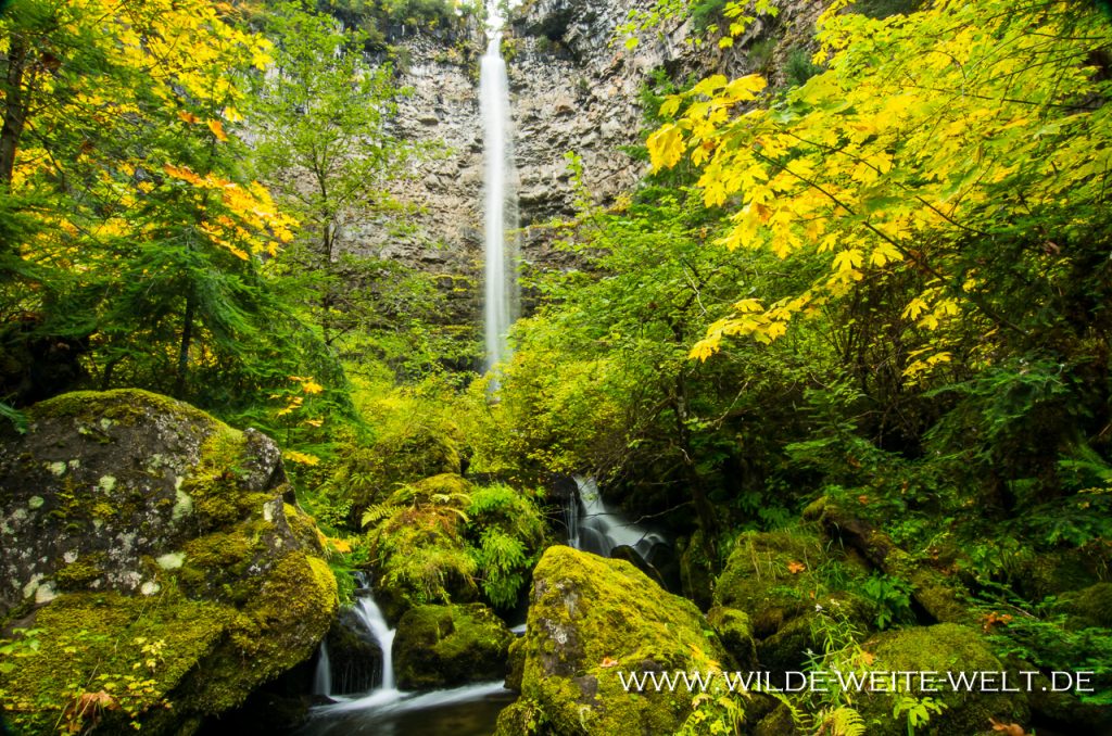 Watson-Falls-Umpqua-National-Forest-Oregon-3 Watson Falls [North Umpqua River]