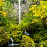 Watson Falls - Umpqua National Forest, Oregon