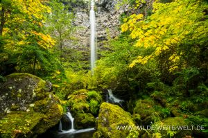 Watson-Falls-Umpqua-National-Forest-Oregon-3-300x199 Watson Falls
