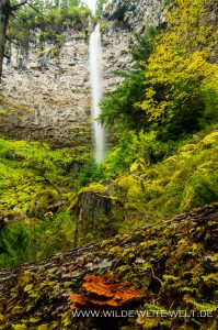 Watson-Falls-Umpqua-National-Forest-Oregon-4-199x300 Watson Falls