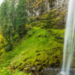 Watson-Falls-Umpqua-National-Forest-Oregon-3 Watson Falls [North Umpqua River]