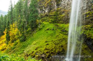 Watson-Falls-Umpqua-National-Forest-Oregon-8-300x199 Watson Falls