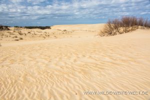 Sand-Dunes-Jockey-Ridge-State-Park-Nags-Head-North-Carolina-10-1-300x200 Sand Dunes