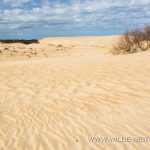 Hatteras-Cape-Hatteras-National-Seashore-Outer-Banks-North-Carolina Outer Banks [North Carolina]
