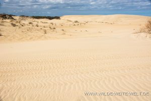 Sand-Dunes-Jockey-Ridge-State-Park-Nags-Head-North-Carolina-11-1-300x200 Sand Dunes