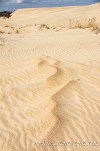 Sand-Dunes-Jockey-Ridge-State-Park-Nags-Head-North-Carolina-13-200x300 Sand Dunes