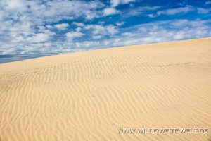 Sand-Dunes-Jockey-Ridge-State-Park-Nags-Head-North-Carolina-14-300x200 Sand Dunes