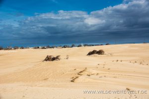 Sand-Dunes-Jockey-Ridge-State-Park-Nags-Head-North-Carolina-15-300x200 Sand Dunes
