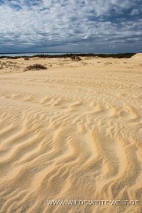Sand-Dunes-Jockey-Ridge-State-Park-Nags-Head-North-Carolina-5-200x300 Sand Dunes