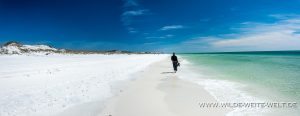 Beach-Grayton-Beach-State-Park-Florida-20-300x116 Beach