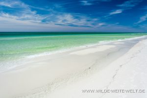 Beach-Grayton-Beach-State-Park-Florida-4-300x200 Beach