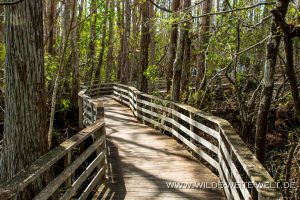 Boardwalk-Corkscrew-Swamp-Sanctuary-Florida-300x200 Boardwalk
