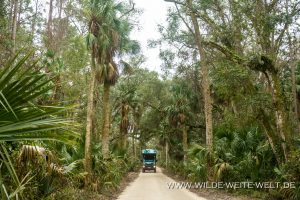 Canopy-road-Kingsley-Plantation-Fort-George-Island-Florida-3-300x200 Canopy road