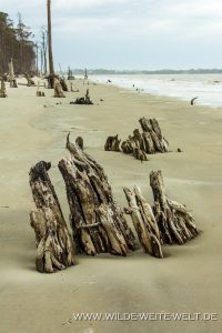 Driftwood-Beach-Jekyll-Island-Georgia-18-200x300 Driftwood Beach