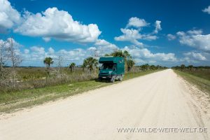 Mittagspause-Wagon-Wheel-Road-Big-Cypress-National-Preserve-Florida-300x200 Mittagspause