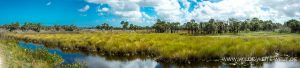 Prairie-Black-Point-Wildlife-Drive-Merrit-Island-National-Wildlife-Refuge-Florida-6-300x68 Prairie