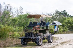 Swamp-Buggie-Turner-Road-Big-Cypress-National-Preserve-Florida-2-300x200 Swamp Buggie