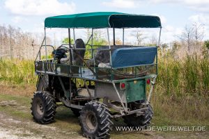 Swamp-Buggie-Turner-Road-Big-Cypress-National-Preserve-Florida-3-300x200 Swamp Buggie