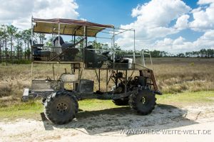 Swamp-Buggie-Turner-Road-Big-Cypress-National-Preserve-Florida-300x200 Swamp Buggie